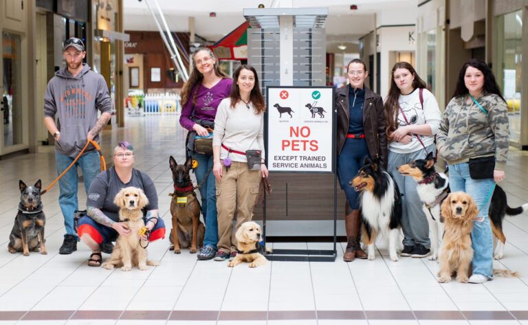 Finding Zen in Bentonville: How One Trainer is Transforming Dogs—and Lives
